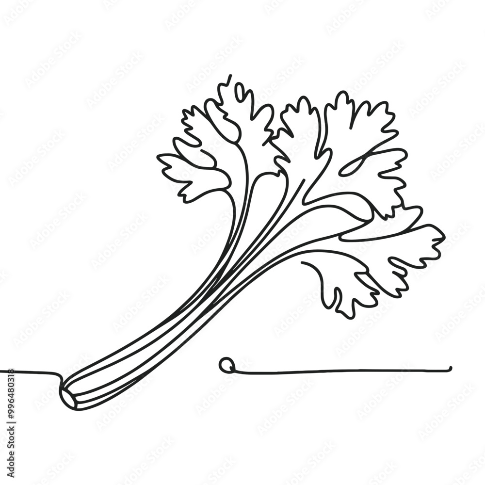 A celery stalk with a white background. The celery is the main focus of the image A celery stalk with a white background. The celery is the main focus of the image