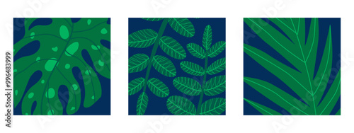 Three square botanical illustrations featuring tropical backgrounds with various green leaves. Suitable for social media posts, mobile apps, banner design, and web or internet ads. Hand drawn vector