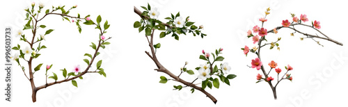 Set of Tree branch flower Photo Overlays, Summer spring painted on white background.AI GENERATED