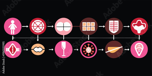 Create a vector illustration showing different hormonal contraceptive devices such as pills, patches, implants, and IUDs, arranged in a circular or grid format with brief labels.