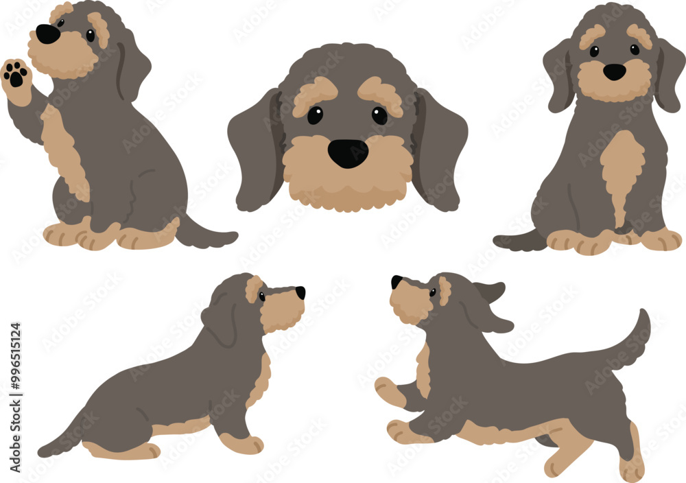 Simple and adorable illustration set of Wire Haired Dachshund Simple and adorable illustration set of Wire Haired Dachshund