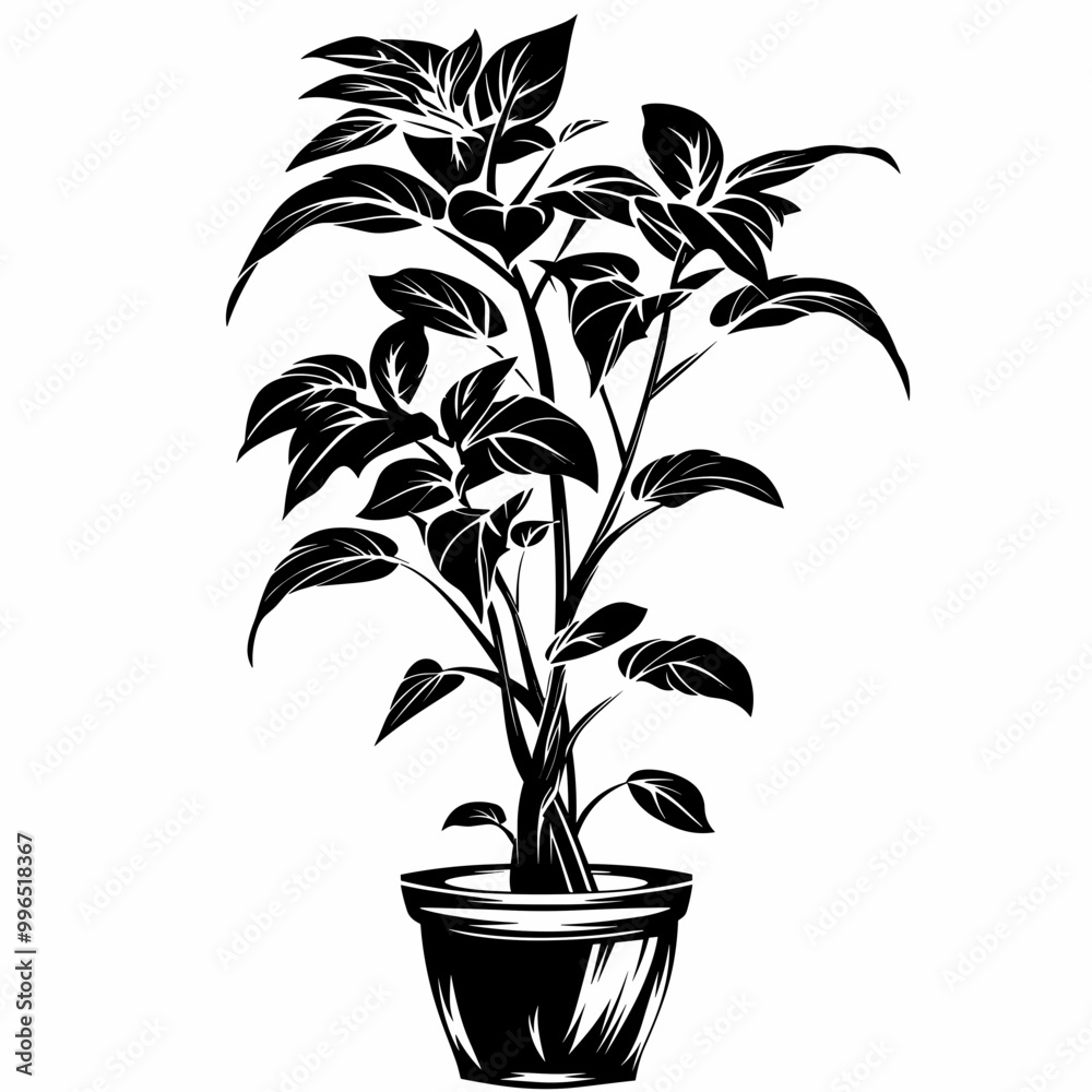 Stylized black and white illustration of a potted plant with leaves Stylized black and white illustration of a potted plant with leaves