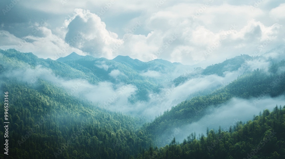 Obraz premium Serene misty mountains showcasing lush greenery and dramatic clouds.