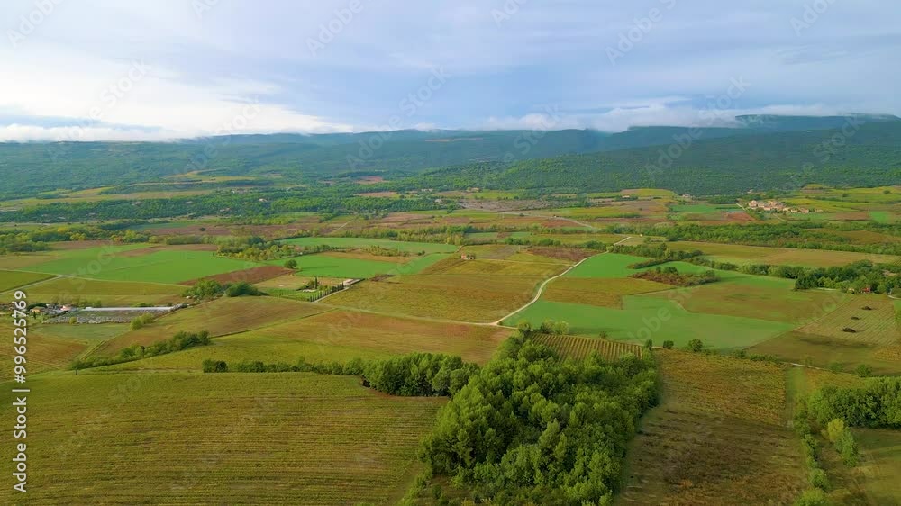 Aerial view of a vineyard landscape in Provence (Roussillon), France (4k, UHD) Aerial view of a vineyard landscape in Provence (Roussillon), France (4k, UHD)