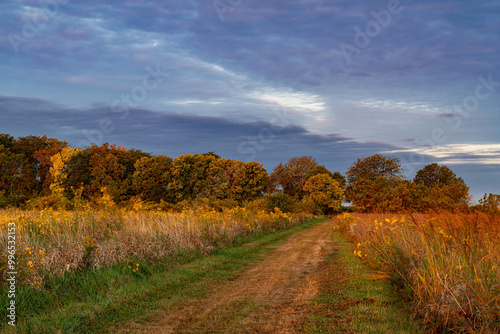718-40 Tractor Path Clearing Sky