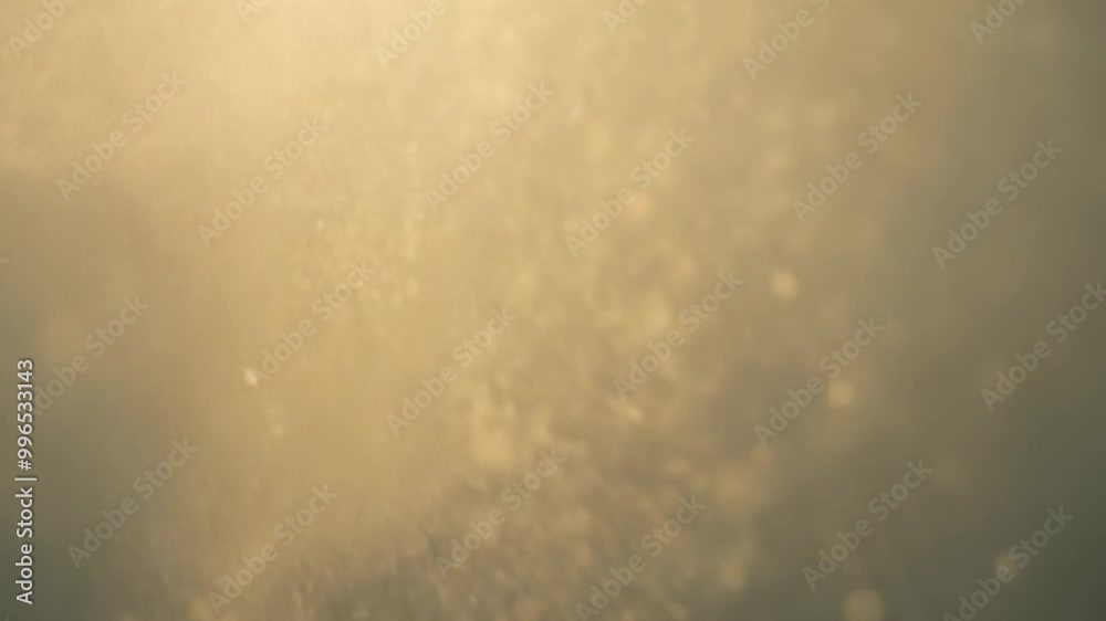 4K Soft Golden Light with Floating Particles 4K Soft Golden Light with Floating Particles