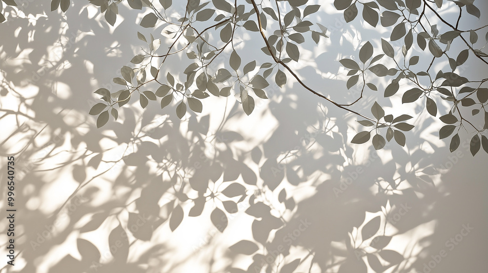 Abstract Nature Patterns in Light and Shadow Abstract Nature Patterns in Light and Shadow