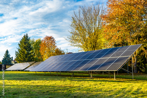 Solar panels in field with trees harnessing solar energy
