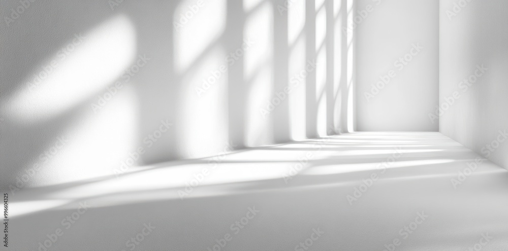 Sunlight Casting Shadows on a White Wall and Floor Sunlight Casting Shadows on a White Wall and Floor