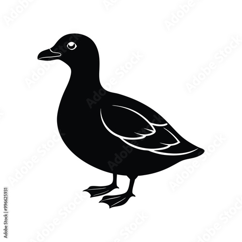 Parakeet auklet Black silhouette isolated on a white background, Duck silhouettes, vector art