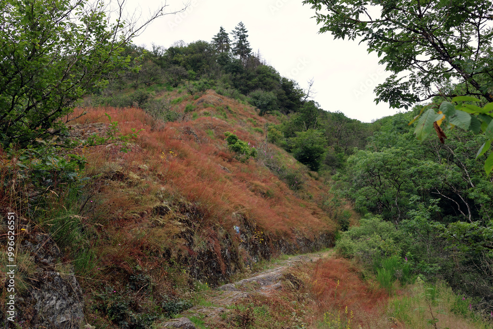 Fototapeta premium Schroffe Felsen in grüner Natur auf dem Premium-Wanderweg Nat'Our Route 5 in der Südeifel an der deutsch-luxemburgischen Grenze bei Vianden. 