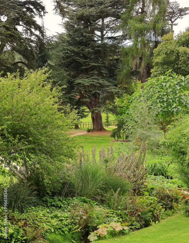 Obraz na płótnie Garden - Landscape garden with cedar tree w salonie
