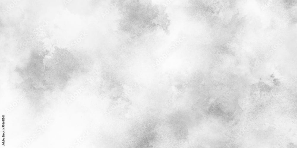 Fototapeta premium abstract Monochrome smeared gray aquarelle painted paper textured canvas for design. Black grey Sky with white cloud, white fog design with smoke texture overlays.