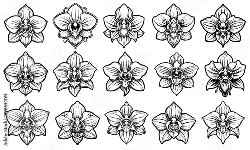 Orchid Coloring Page for Adults, intricate line art design featuring elegant orchid blooms, perfect for relaxation and stress relief, ideal for adult coloring books or printable art therapy activities