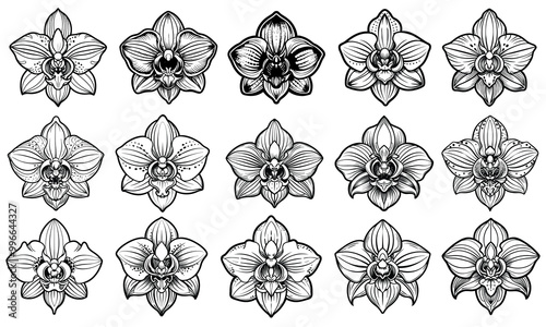 Orchid Coloring Page for Adults, intricate line art design featuring elegant orchid blooms, perfect for relaxation and stress relief, ideal for adult coloring books or printable art therapy activities