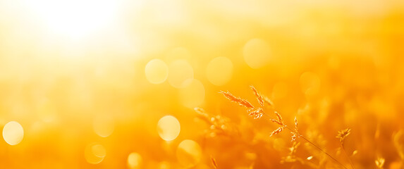 A hot summer sky background with warm golden orange and yellow blurred field,