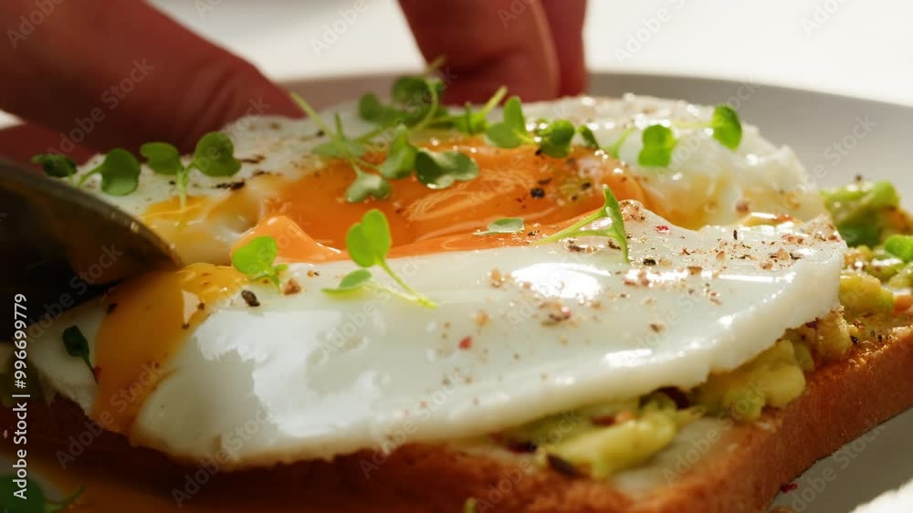 Avocado guacamole toast, morning brunch with sandwich Delicious Breakfast Featuring a Fried Egg Perfectly Placed on Bread, cafe healthy tasty menu. Avocado guacamole toast, morning brunch with sandwich Delicious Breakfast Featuring a Fried Egg Perfectly Placed on Bread, cafe healthy tasty menu.