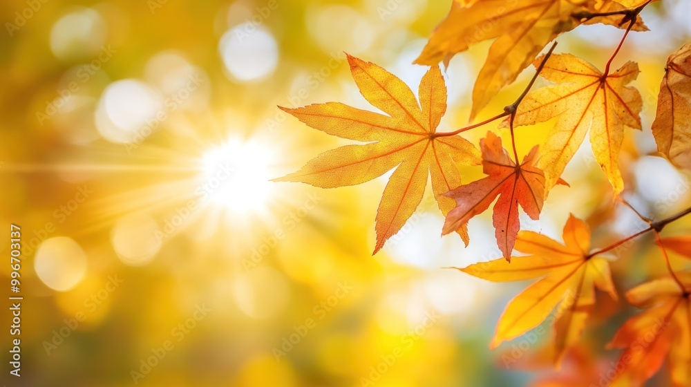 Golden autumn leaves against a sunlit, blurred background. Golden autumn leaves against a sunlit, blurred background.