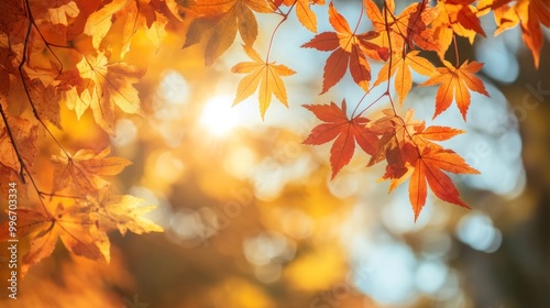 Golden autumn leaves with sunlit bokeh in the background.