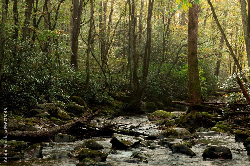 Oconaluftee River Great Smokey Mountains National Park Oconaluftee River Great Smokey Mountains National Park