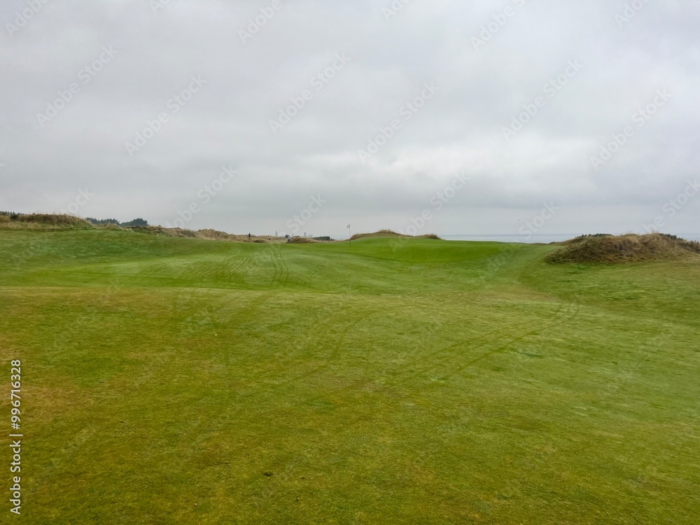 Fototapeta premium golf course. nature, golf, golf course, nature, grass, sky, field, landscape, green, meadow, summer, cloud, clouds, tree, blue, countryside, course, hill, view, spring, country, trees, mountain, lawn,