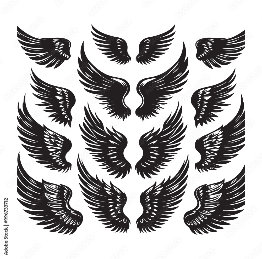 wings icon set Collection Vector illustration wings icon set Collection Vector illustration