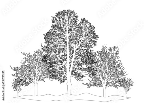 Group of deciduous bare trees standing on hilltop, outline. Vector illustration