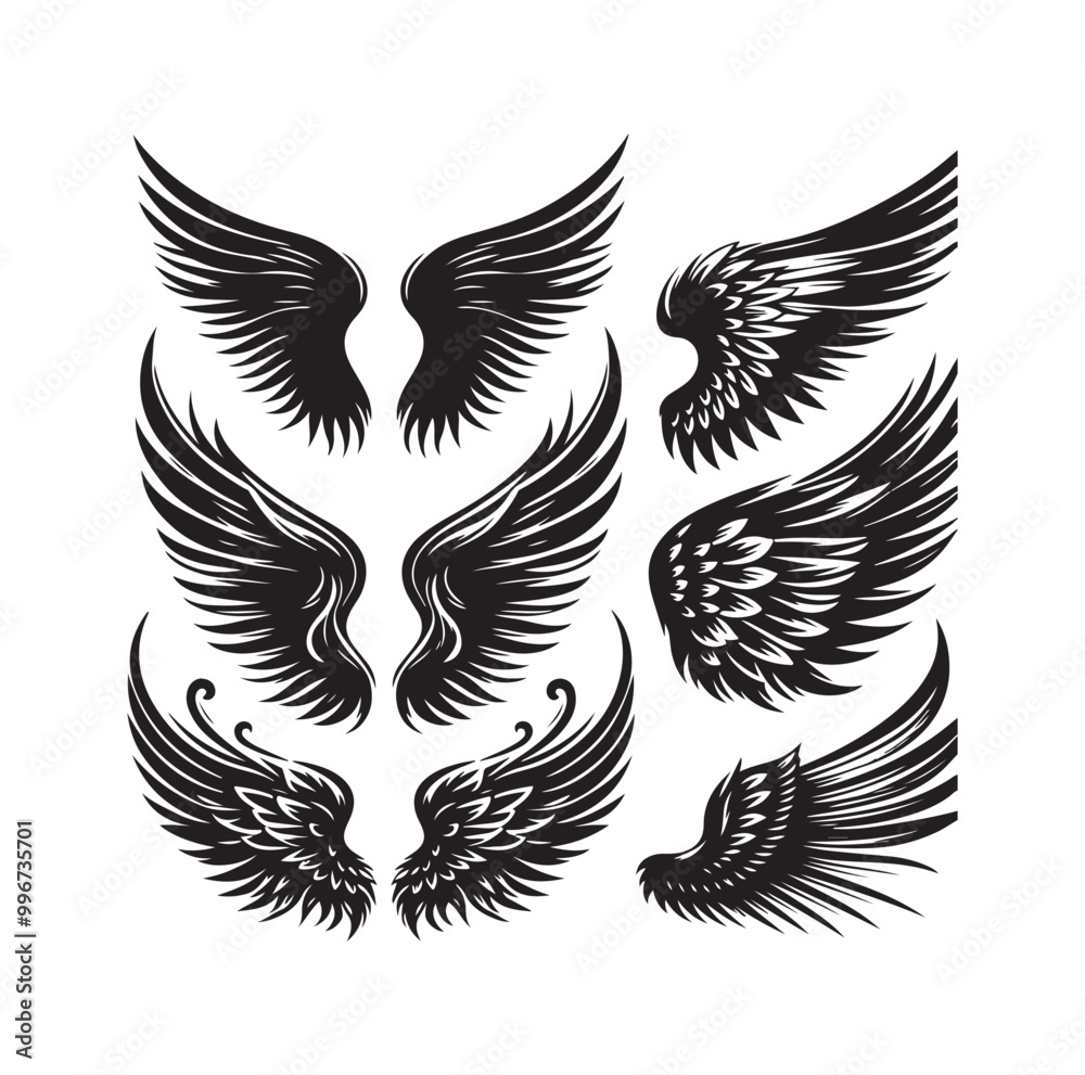 wings icon set Collection Vector illustration wings icon set Collection Vector illustration