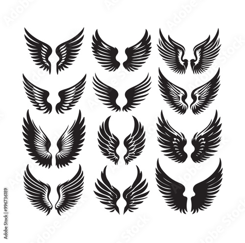 wings icon set Collection Vector illustration