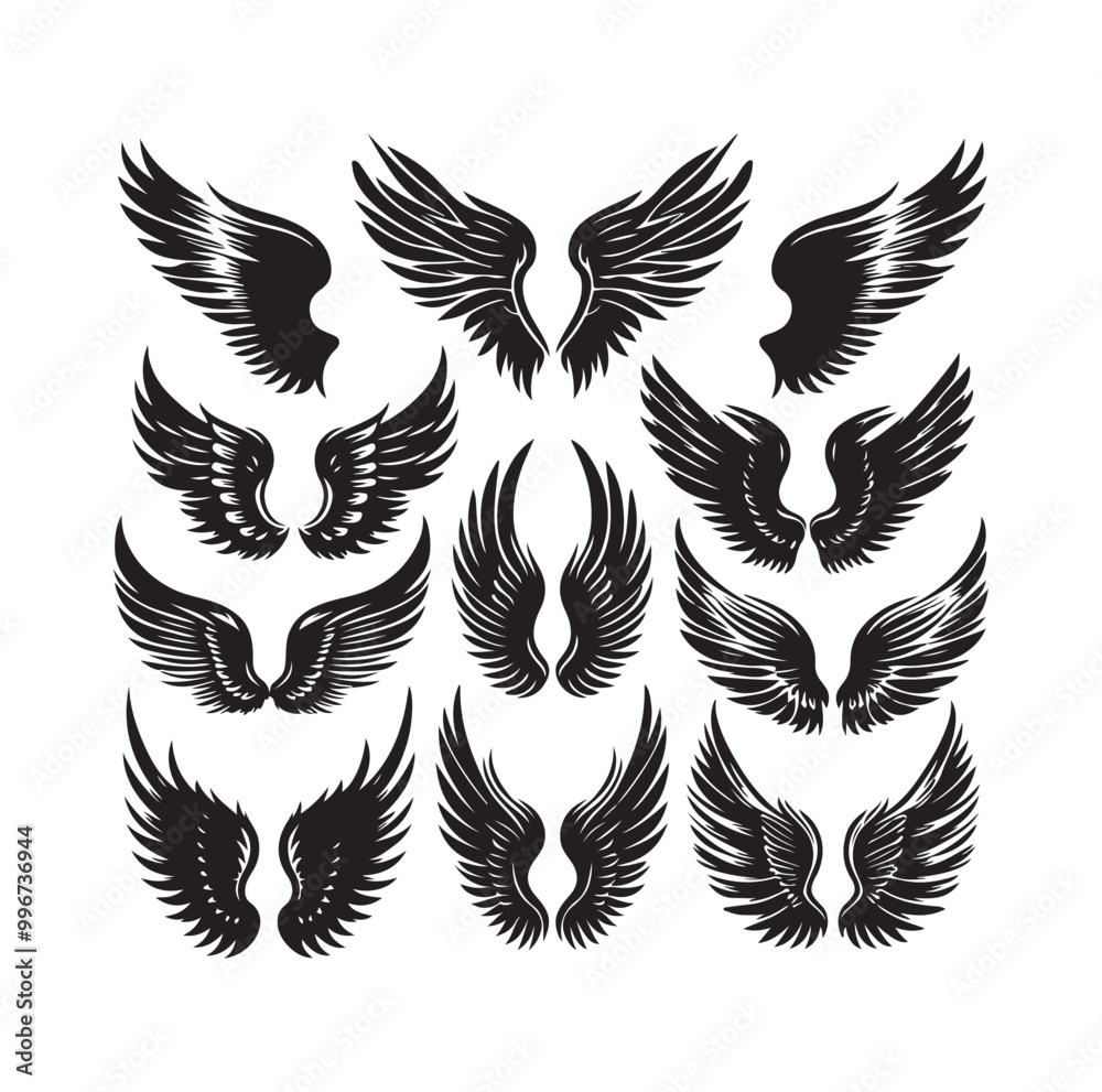 wings icon set Collection Vector illustration wings icon set Collection Vector illustration