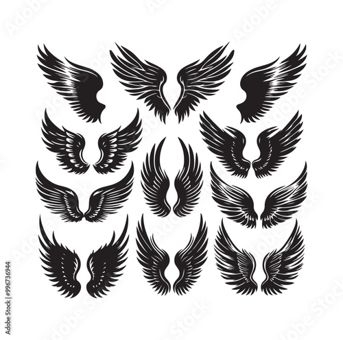 wings icon set Collection Vector illustration