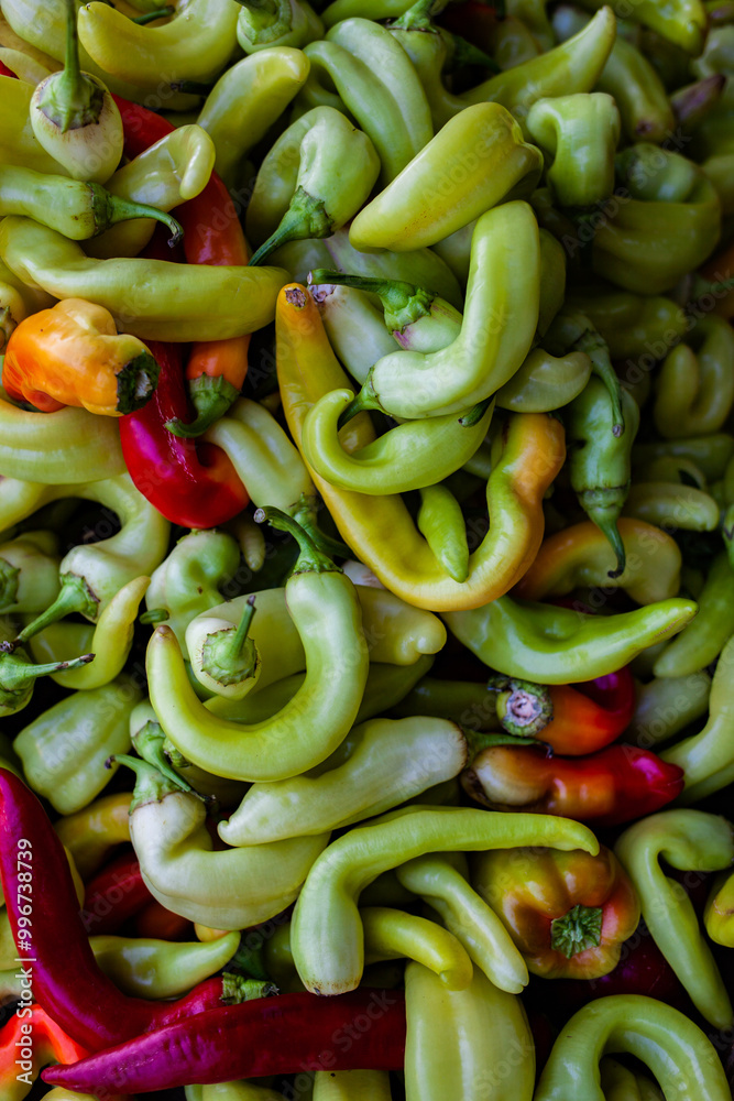 Washing and preparing green pepper, close shot Washing and preparing green pepper, close shot