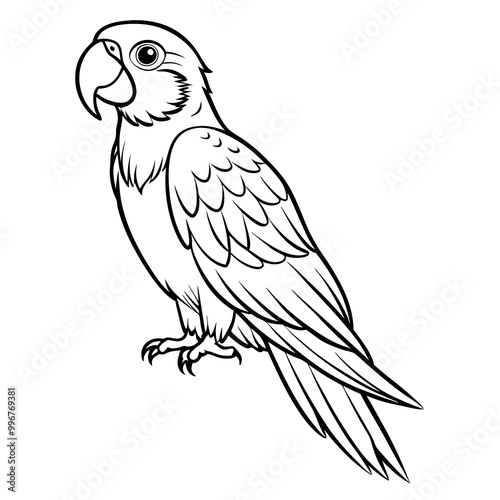 Parrot illustration, black and white