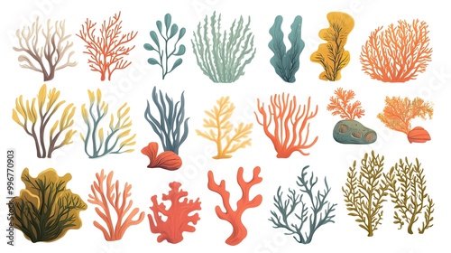 Seaweed, coral, and sea plants clip art set in a flat vector style on a white background with margins, in bright pastel colors