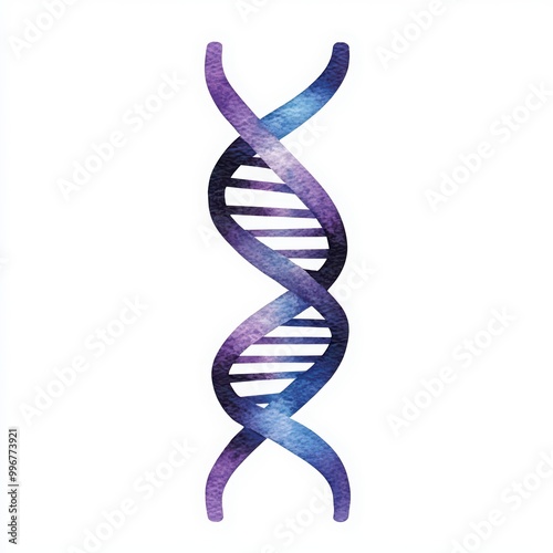 Watercolor DNA helix design, white isolated background.