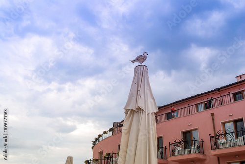 Popular resort in Bulgaria. A large seagull stands on a beach umbrella against a cloudy sky