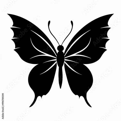 butterfly vector