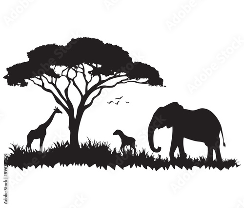 Giraffe in the savannah, Landscape silhouette vector, African savannah Silhouette of animals