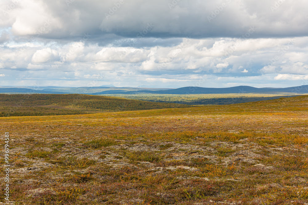 Obraz premium Autumn landscape in the Lapland mountains