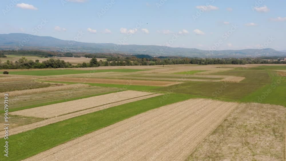 Aerial view of vast, patchwork farmland with vibrant green fields stretching towards distant blue hills under a partly cloudy sky. The rural landscape is peaceful and expansive. Aerial view of vast, patchwork farmland with vibrant green fields stretching towards distant blue hills under a partly cloudy sky. The rural landscape is peaceful and expansive.