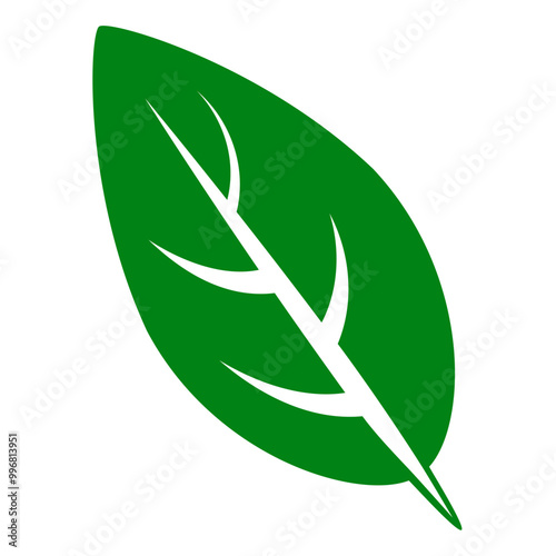 shape collection different green leaves of tree, plants, leaf and swirls branches. Stock vector icon, isolated white background. Element for ecographic, natural design, vegan logo, bio labels photo