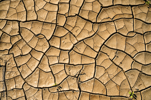 Cracked dry earth background. Heat, drought, climate change concept. photo