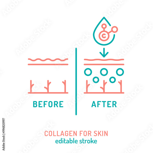 Collagen for skin line icon. Connective tissue protein pictogram.