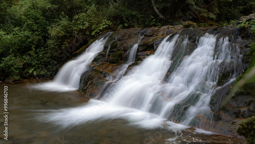 A hidden waterfall flows gracefully over rocks, surrounded by dense forest greenery. The tranquil setting is perfect for those seeking a peaceful connection with nature.