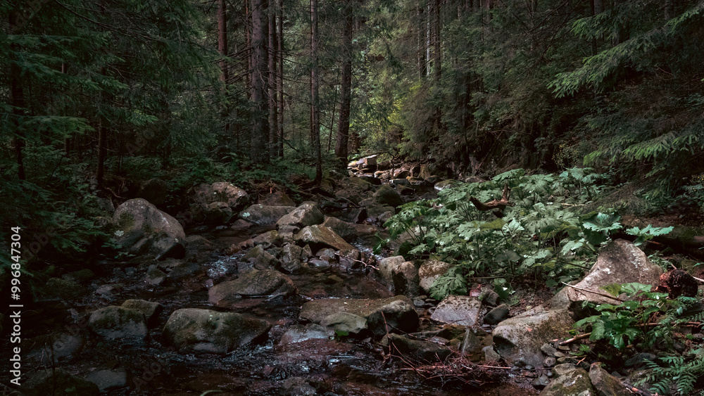 Rocky Stream Flowing Through a Deep Forest Rocky Stream Flowing Through a Deep Forest