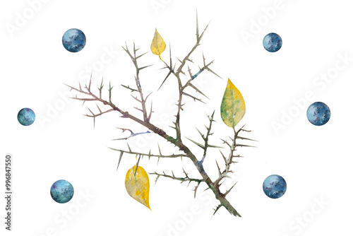 Foto Watercolor illustration of a branch of blackthorn berries with yellow leaves
