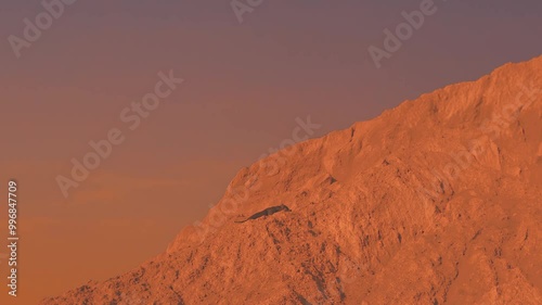 A dog descends from a sandy mountain bathed in the light of the setting sun.