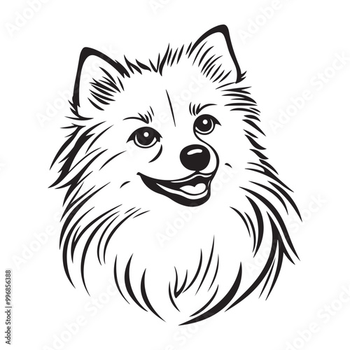 Pomeranian Face, Pomeranian dog breed Cute cartoon vector clipart Design, Silhouettes Dog Face, black and white Pomeranian vector