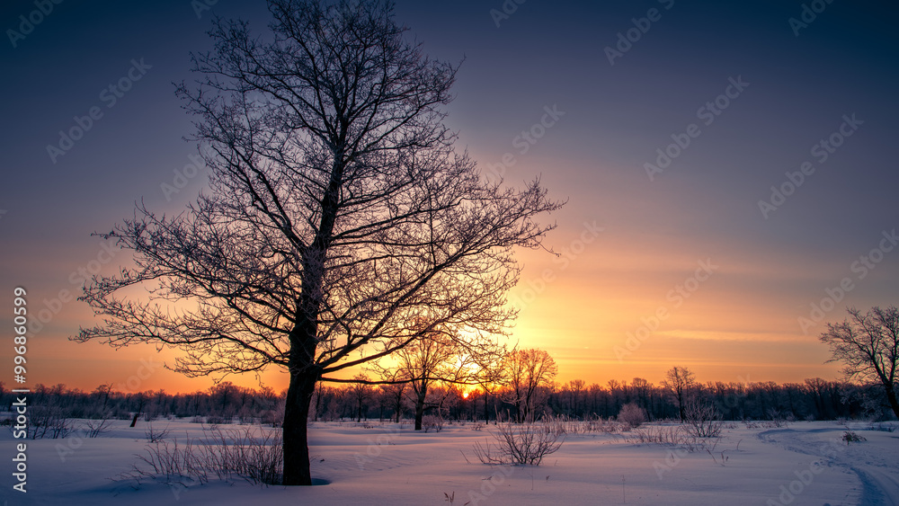Winter sunrise in a field with silhouettes of trees. Winter sunrise in a field with silhouettes of trees.