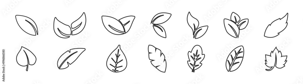 Set of different leaves vector icon, thin vector icon set, black and white kit. Vector illustration. Set of different leaves vector icon, thin vector icon set, black and white kit. Vector illustration.